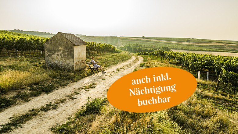 Sunset Tasting mit Weingut Bohrn, © Robert Herbst Sunset Tasting mit Weingut Bohrn, © Robert Herbst