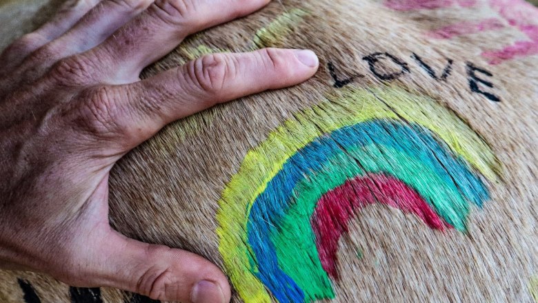 Horse moments, © Cornelia Ulrich Close-up of a hand on a horse's coat with colorful drawings and the word 'LOVE'.