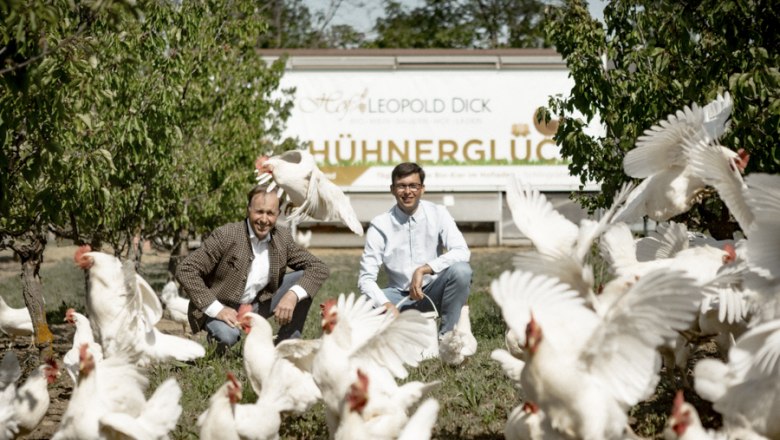 Freilandhühner, © Astrid Bartl Freilandhühner, © Astrid Bartl