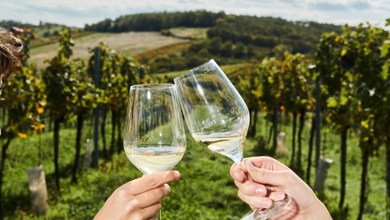 Toasting in the vineyard, © Weinviertel Tourismus / Michael Liebert Two people clink glasses in a vineyard.