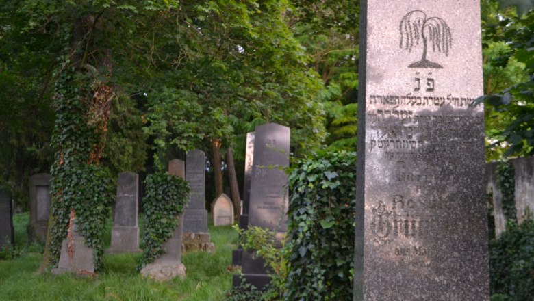 Jüdischer Friedhof in Hollabrunn, © Mantler-Stockinger Jüdischer Friedhof in Hollabrunn mit alten Grabsteinen und Efeu bewachsenen Bäumen.
