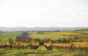 Zellerndorf, © Astrid Bartl Zellerndorf, © Astrid Bartl