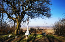 Herrliches Platzerl beim Heidbirnbaum, © Weinstraße Weinviertel Ein Mann sitzt auf einer Bank unter einem großen Baum mit Blick auf eine weite Landschaft.