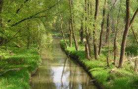 Stockerauer Au, © Stadtgemeinde Stockerau Stockerauer Au, © Stadtgemeinde Stockerau