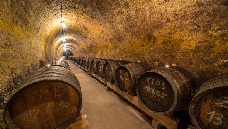 Weinfässer, © Fam. Zesch Weinkeller mit Holzfässern in einem langen, gewölbten Tunnel.