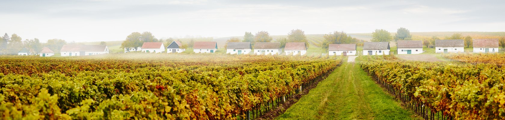 Tady jsou milovníci vína na správné adrese, © Niederösterreich Werbung / Michael Liebert Tady jsou milovníci vína na správné adrese, © Niederösterreich Werbung / Michael Liebert