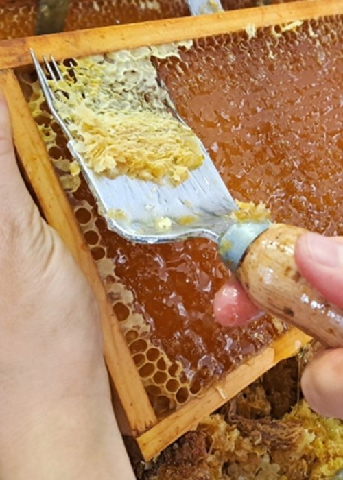 Feinster Honig, © Apis-Z Feinster Honig, © Apis-Z