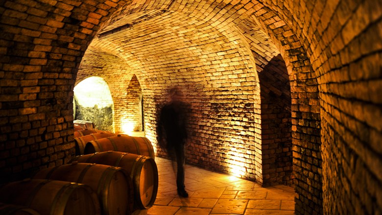 in the wine cellar, © Robert Herbst in the wine cellar, © Robert Herbst