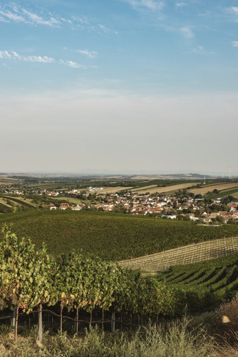 Herrnbaumgarten, © Weinviertel Tourismus / Michael Reidinger Herrnbaumgarten, © Weinviertel Tourismus / Michael Reidinger