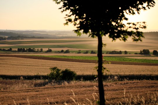 Sonnenstrahlen erwärmen die Luft ..., © Weinviertel Tourismus / Wurnig Sonnenstrahlen erwärmen die Luft ..., © Weinviertel Tourismus / Wurnig