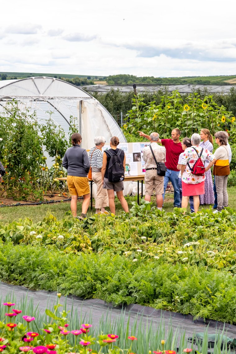 Gutes vom Gutshof , © Gutes vom Gutshof / Andrew Zimmerman Gutes vom Gutshof , © Gutes vom Gutshof / Andrew Zimmerman