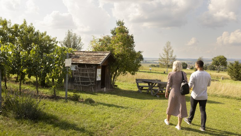 Der Weingarten beim Selbstbedienungskeller, © Weinviertel Tourismus GmbH / Schwarz-König Zwei Personen spazieren durch einen Weingarten in Kettlasbrunn bei sonnigem Wetter.