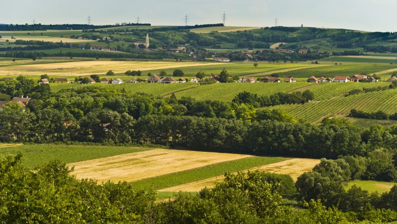 Zellerndorf, © Gemeinde Zellerndorf Landschaft mit Feldern, Bäumen und einem Dorf im Hintergrund.