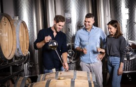 Führung durch Weinviertler Weingüter, © Weinviertel Tourismus / Doris Schwarz-König Führung durch Weinviertler Weingüter, © Weinviertel Tourismus / Doris Schwarz-König