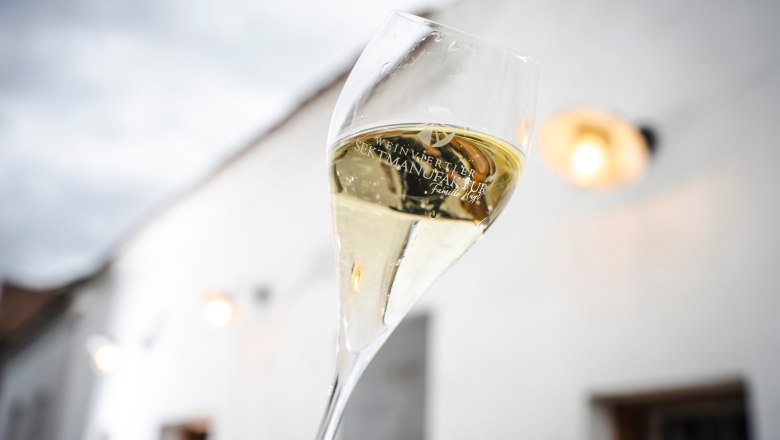 Sektgenuss im Weinviertel, © Robert Herbst Ein Glas Sekt mit der Aufschrift 'Weinviertler Sektmanufaktur' wird gegen einen bewölkten Himmel gehalten.