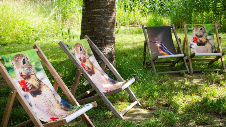 Schloss Orth an der Donau, © Barbara Elser Sitzgelegenheiten mit Tiermuster