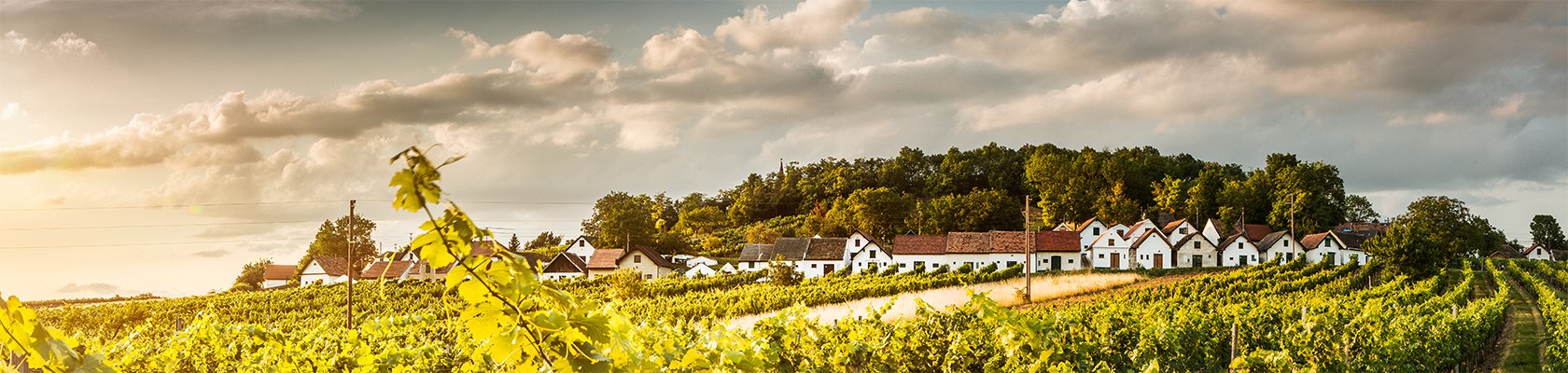Kellergasse Galgenberg in Wildendürnbach, © Niederösterreich Werbung / Michael Liebert Kellergasse Galgenberg in Wildendürnbach, © Niederösterreich Werbung / Michael Liebert