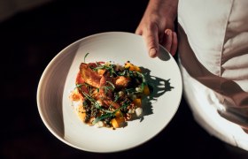 Herzlich Willkommen, © NÖ Werbung / Julius Hirtzberger Ein Teller mit einem kunstvoll angerichteten Gericht wird von einer Person in weißer Kleidung gehalten.