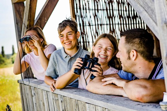 über 230 Vogelarten bei den vogel.schau.plätzen, über 230 Vogelarten bei den vogel.schau.plätzen,