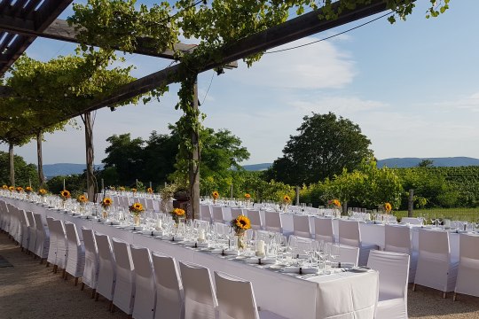 Tafeln in den Weingärten, © Weinviertel Tourismus Tafeln in den Weingärten, © Weinviertel Tourismus