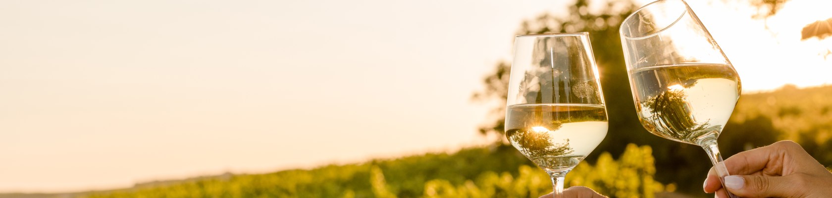 Weintourismus, © Weinviertel Tourismus / Doris Schwarz-König Weintourismus, © Weinviertel Tourismus / Doris Schwarz-König