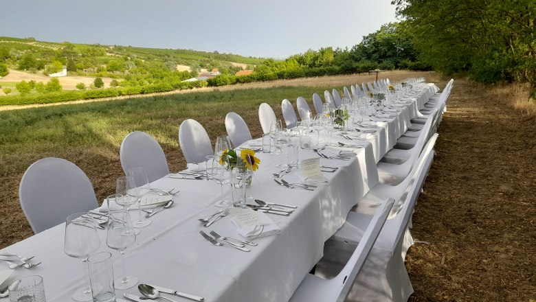 Tafeln im Weinviertel, © Weinviertel Tourismus GmbH Lange, festlich gedeckte Tafel im Freien mit weißen Tischdecken und Stühlen, umgeben von Natur.