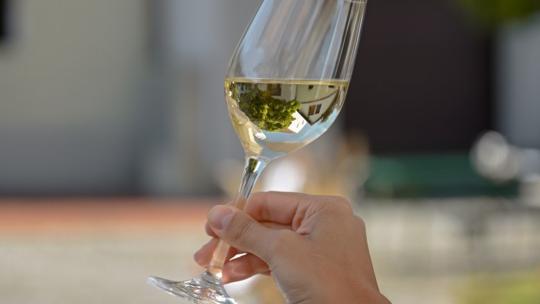 Weinglas, © Weinviertel Tourismus / Lisa Sedlatschek Eine Hand hält ein Weinglas mit Weißwein im Freien.