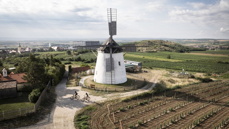 Retz windmill, © Weinviertel Tourismus GmbH / Frühmann Landscape with windmill and cyclists in Retz, Austria.