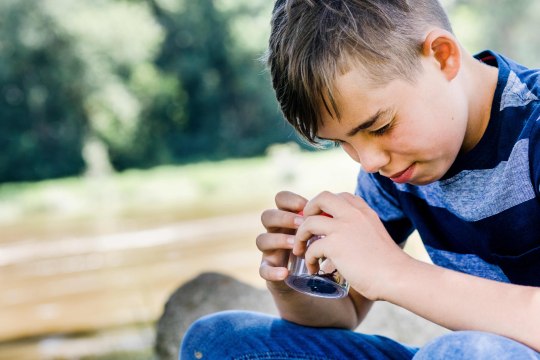 die wundersame Tierwelt der March-Thaya-Auen und, © Weinviertel Tourismus / Schwarz-König und Sinzinger die wundersame Tierwelt der March-Thaya-Auen und, © Weinviertel Tourismus / Schwarz-König und Sinzinger