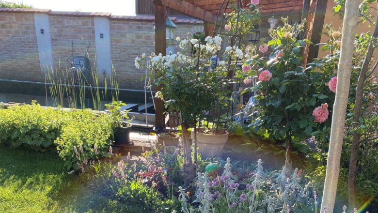 Duftige Rosen für die Sinne, © Michaela Wannemacher Ein blühender Garten mit Rosen, Lavendel und anderen Pflanzen bei Sonnenschein.