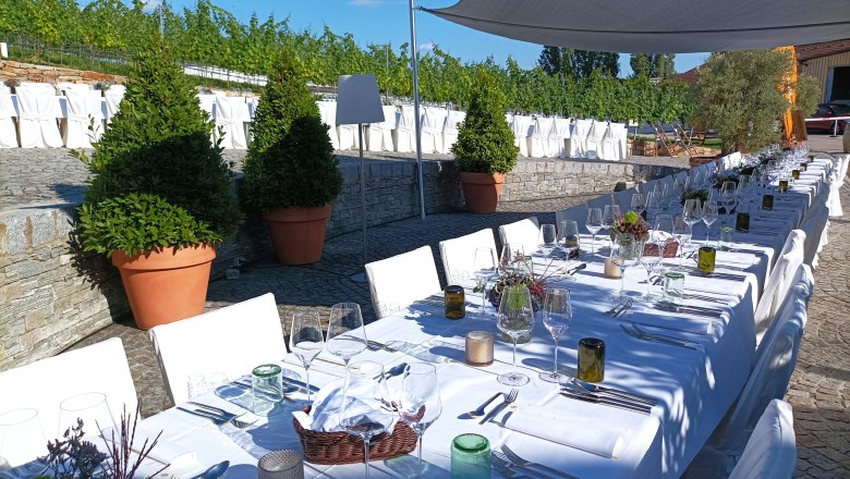 Tafeln im Weinviertel, © Weinviertel Tourismus GmbH Langer, festlich gedeckter Tisch im Freien mit weißen Tischdecken und Stühlen, umgeben von Pflanzen und Weinreben.