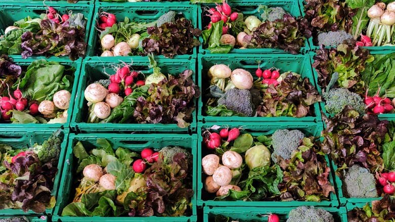 Gemüsekisten, © Gutes vom Gutshof Gemüsekisten, © Gutes vom Gutshof