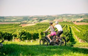 Unterwegs am Weinradweg Sylvaner, © POV / Robert Herbst Unterwegs am Weinradweg Sylvaner, © POV / Robert Herbst