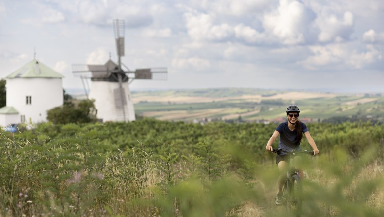 Retz windmill, © Weinviertel Tourismus GmbH / Frühmann A person rides a bicycle through a green landscape with a windmill in the background.
