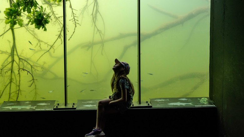 Schloss Orth an der Donau, © Claudia Schlager Kind in der Unterwasserstation