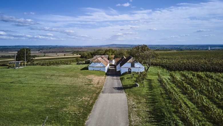 Malerische Öhlbergkellergasse, © Stefan Joham Landschaft mit Weinbergen und einem kleinen weißen Gebäude unter blauem Himmel.
