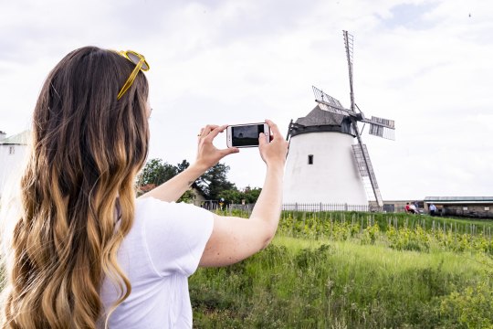und #abinsweinviertel-Momente sammeln!, © Weinviertel Tourismus / Robert Herbst und #abinsweinviertel-Momente sammeln!, © Weinviertel Tourismus / Robert Herbst