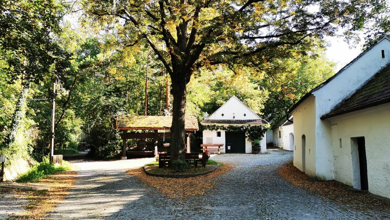 Idyllic square in Raschala, © Weinstraße Weinviertel Idyllic square in Raschala with cobblestones, trees and white buildings.
