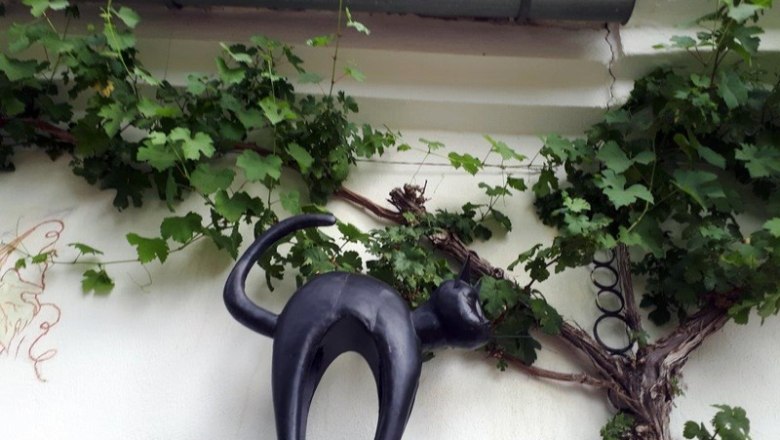 Kellergasse Dürnleis, © Gritsch Schwarze Katzenfigur auf einer Mauer mit Weinreben im Hintergrund.