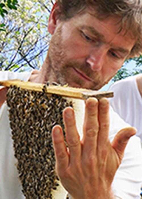 Bienenkurse, © Apis-Z Bienenkurse, © Apis-Z