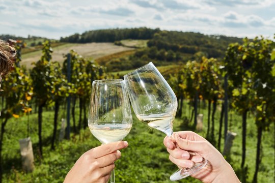 Weingenuss pur, © Weinviertel Tourismus / Michael Liebert Weingenuss pur, © Weinviertel Tourismus / Michael Liebert