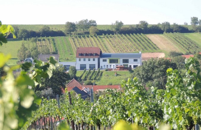 Weinstimmig Dworzak, © Dworzak Weinstimmig Dworzak, © Dworzak