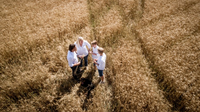 Familie Geier, © Geier.die Bäckerei Vier Personen stehen in einem goldenen Weizenfeld und unterhalten sich, während ein Hund neben ihnen sitzt.