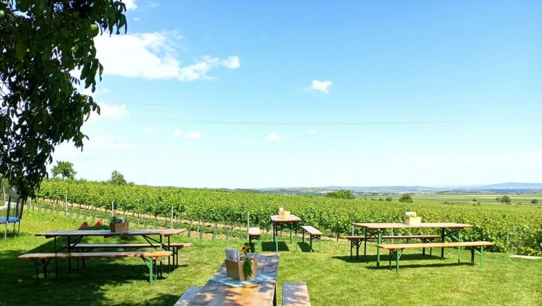 Wonderful view from the Heuriger terrace, © Viktoria Puhr View of vineyards from a terrace with wooden tables and benches in the foreground.