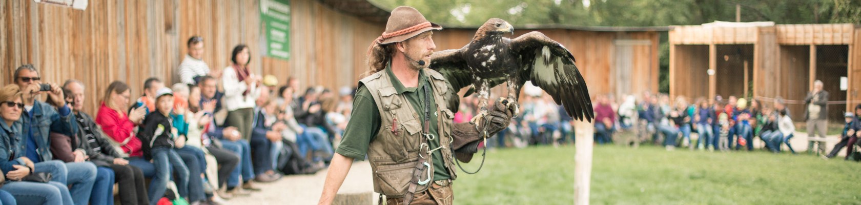 Greifvogel, © Peter Hruska Greifvogel, © Peter Hruska
