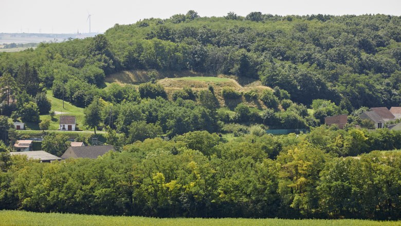 Guglhupfberg Gaiselberg, © Ableidinger von Tuzar Landschaft mit Hügel, Bäumen und Häusern im Vordergrund.