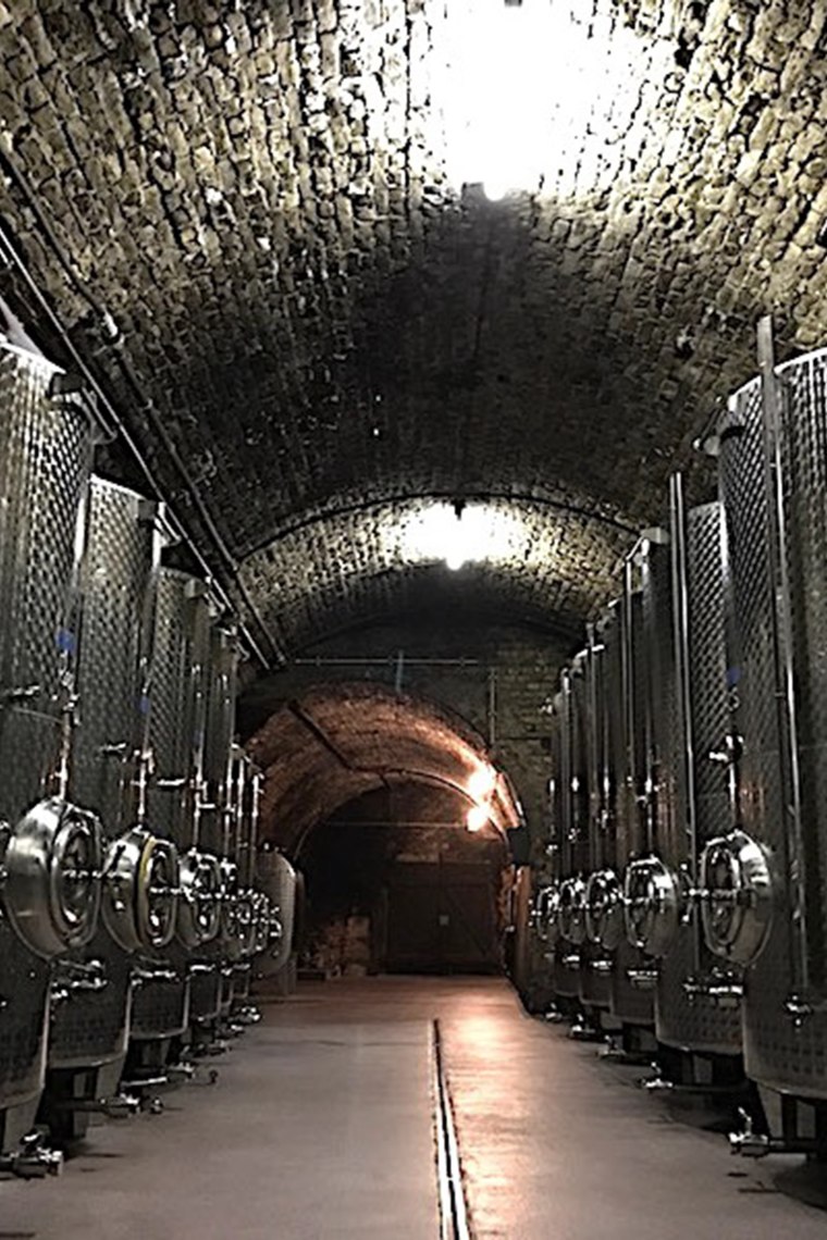 Blick in den Weinkeller, © Radetzky-Weingut Wichtl Blick in den Weinkeller, © Radetzky-Weingut Wichtl