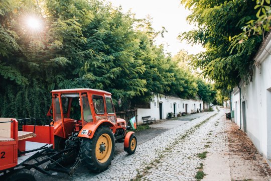 die Weinstadt per Traktor zu entdecken und, © Niederösterreich Werbung / Romeo Felsenreich