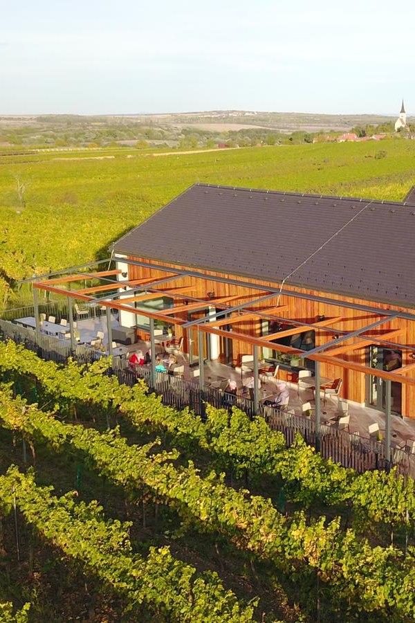 Weingut Kellner, © Weinterrasse Weingut Kellner, © Weinterrasse