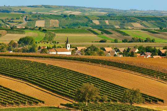 Kleine Dörfer versprühen Sommergefühle ..., © Weinviertel Tourismus / Lammerhuber Kleine Dörfer versprühen Sommergefühle ..., © Weinviertel Tourismus / Lammerhuber